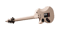 DesertSand-Guitar-3.gif